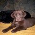 Max Darnell - Facebook