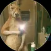 Max David - @max.david78 - TikTok