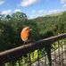 Max Davison - Facebook