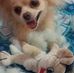 Max Davison - Facebook