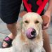 Max Davison - Facebook