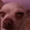 😐 - @max._.dell - TikTok