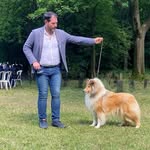 Max dell'Antica Eporedia - @max_dellantica_eporedia - Instagram