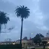 Max demarco - @max_demarc0 - TikTok
