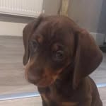 Max Denman - @max_d1109 - Instagram