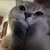 denny - @dennymaxy - TikTok
