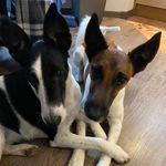 Max & Denny - @max_a_denny - Instagram