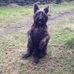 Max Denton - Facebook
