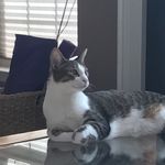 Maxwell Denton - @_max_denton_ - Instagram