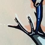 Max Dewitt - @maxdewitt6753 - Instagram