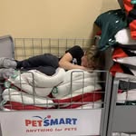 Maximus DeWitt - @maxdewitt22 - Instagram