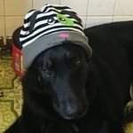 Max Dickerson - @crazydog101810 - Instagram