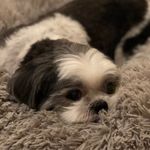 max - @_maxdickey_ - Instagram