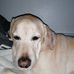 Max Diehl - Facebook