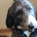 Max Diehl - Facebook