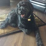 Max Dill - @mdilllll - Instagram