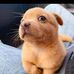 Max Dillon - Facebook