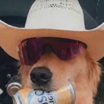 Max Thmoas Dillard - @madoxxmaxx - Instagram
