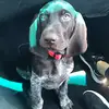 Maximiliano - @max.dillard - TikTok