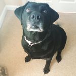 Maxglendinning - @maxglendinning - Instagram