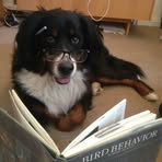 Max Dobbins - Facebook