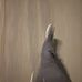 Max Dodd - Facebook