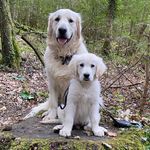 Max & Bear Doherty - @max_and_bear_doherty - Instagram