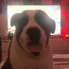 max Doherty - @whoknows18362 - TikTok