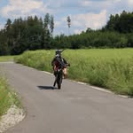Max Dollinger - @dollinger.max - Instagram
