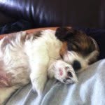 Max dollman - @maxdollman - Instagram