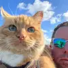 Max Ragdoll - @max_ragdoll - TikTok