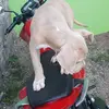Max Dominguez - @max.dominguez80 - TikTok
