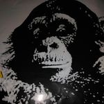 Max Donaldson - @bigpapachungo - Instagram