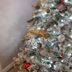 Max Donaldson - @max_donaldsonq8p_myyowu - Instagram