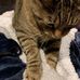 Max Donatelli - Facebook