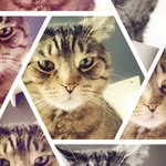 Max Donatelli - @max.donatelli.77 - Instagram