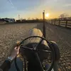 Max_linger28 - @max_linger - TikTok