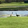 Max.donohue - @max.donohue8 - TikTok