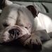 Max Doran - Facebook