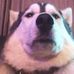 Max Doran - Facebook