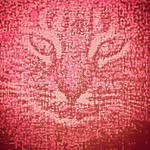 MD - @max_doran_this_name_was_taken - Instagram