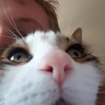 Max D - @max_dore_ - Instagram