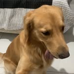 MAX - @max_do_renan - Instagram
