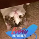 Craig Max Dörflinger - @craigdorflinger - Instagram