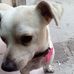 Max Doss - Facebook
