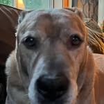 max doyon - @maxdoyon - Instagram