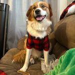 @max.draco_ - Instagram