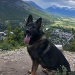 Max Drummond 🐾 - @max_drummond_ - Instagram