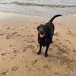 Max Drury - @maxthechocciechunk - Instagram