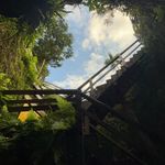 Max Dubois - @max.duboiss - Instagram